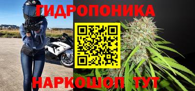 ALPHA PVP Будённовск